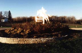 Copper horse in sunshine