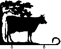Cow graphic