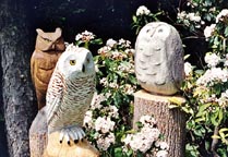 3 Owls