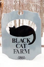Black Cat Farm