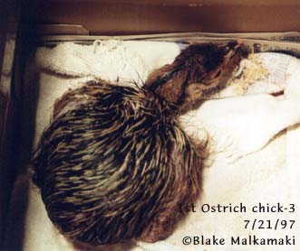 Baby picture 3