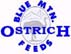 Blue Mountain Logo